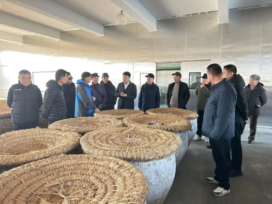 微信图片_20241231102701(1).png